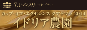 7月マンスリーコーヒー COE グアテマラ イドリア農園