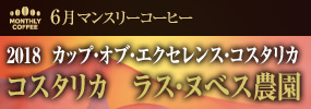 6月マンスリーコーヒー〈コスタリカ〉ラス・ヌべス農園