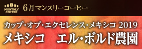 6月マンスリーコーヒー〈メキシコ〉エル・ボルド農園