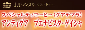 1月マンスリーコーヒー 〈グアテマラ〉アンティグア　ブエナビスタ・ゲイシャ