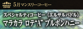 5月マンスリーコーヒー 〈エルサルバドル〉マラカラ ロテ“A” ブルボンハニー