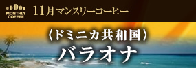 11月マンスリーコーヒー〈ドミニカ共和国〉バラオナ