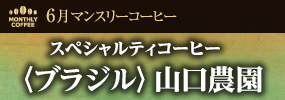 6月マンスリーコーヒー〈ブラジル〉山口農園