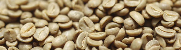 コーヒー豆の紹介